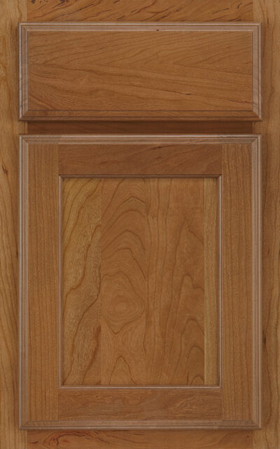 Briarwood Reverse Raised Panel in Biscotti on Cherry